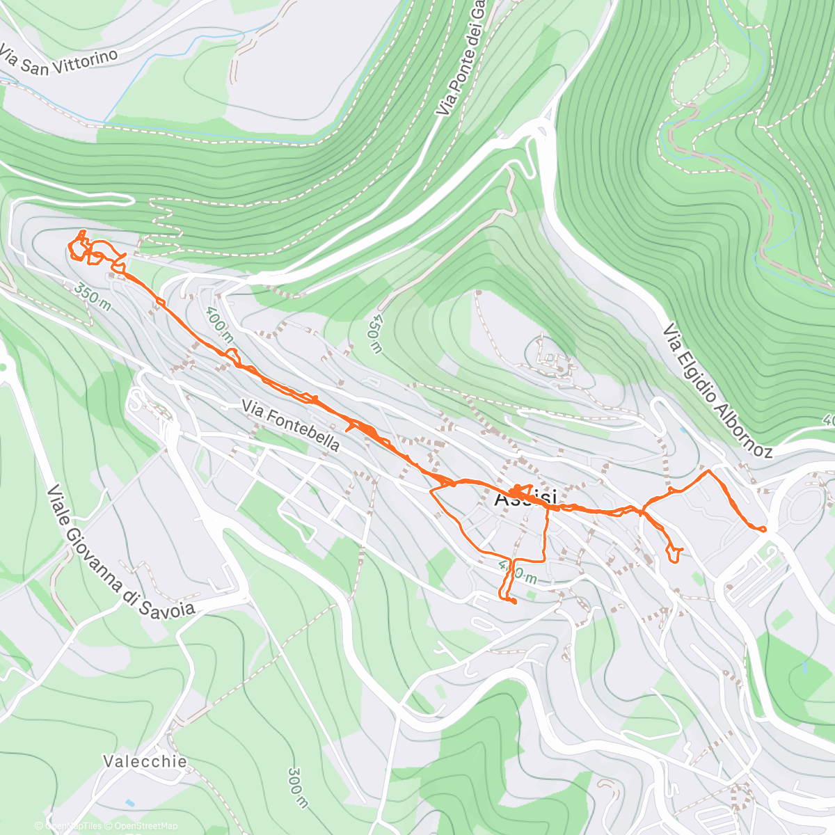 Map of the activity, Assisi