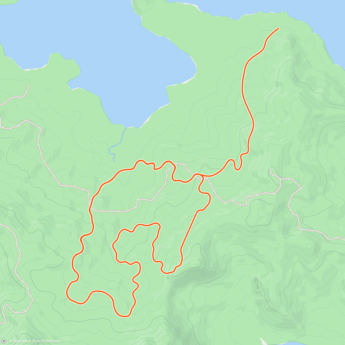Map of the activity, Zwift - W3/4-D1: Zone 2 in Watopia