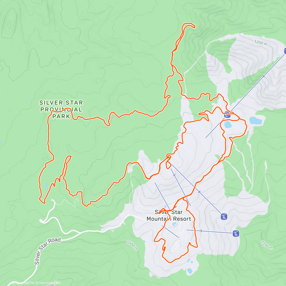 Карта физической активности (Morning Nordic Ski)