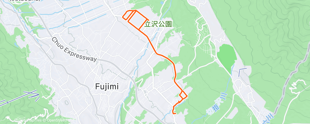 Карта физической активности (Closing 2025 running)