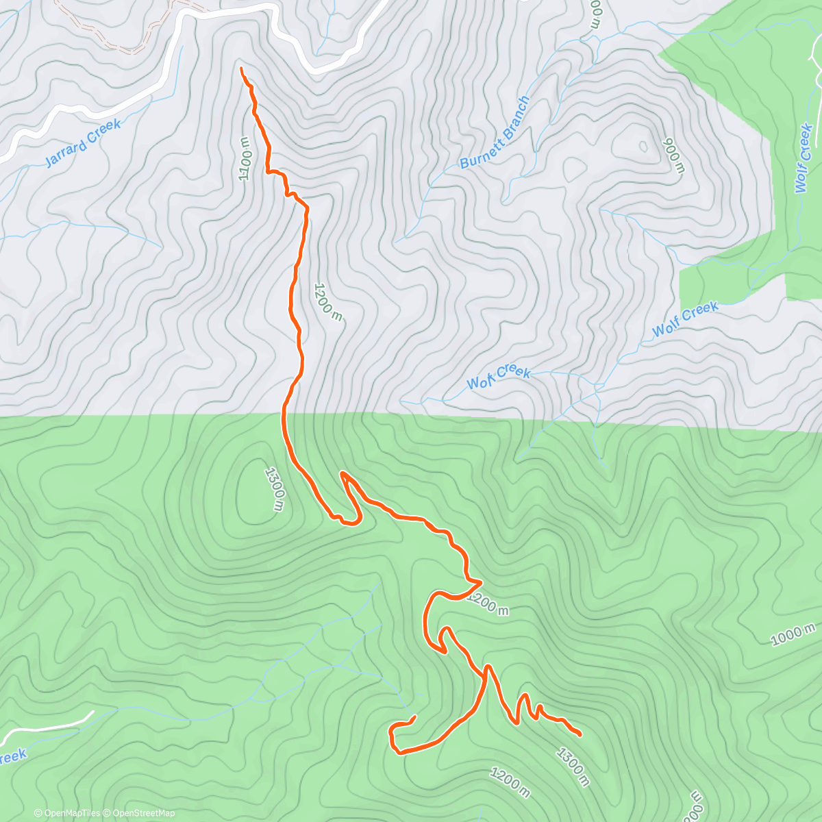 Map of the activity, Wolfpen Gap to Blood to AT Slaughter intersection and back