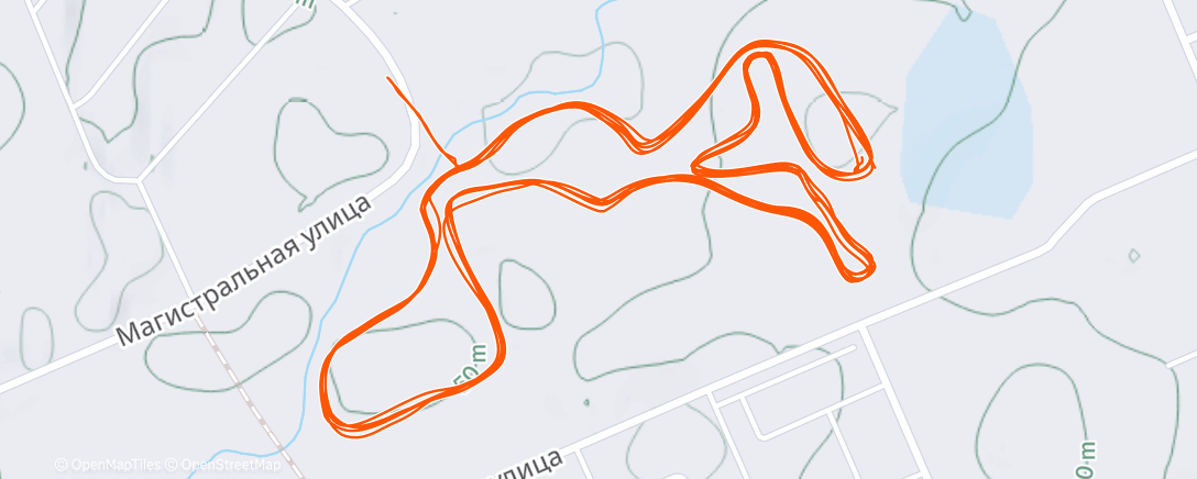 Карта физической активности (Северный лыжный заезд (после обеда))