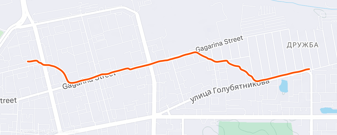 Map of the activity, Night Walk