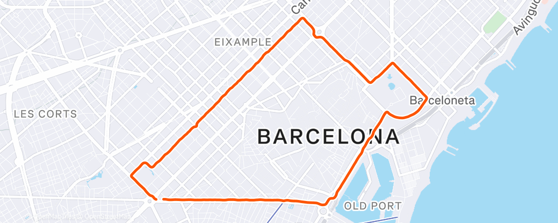 Map of the activity, Morning Run