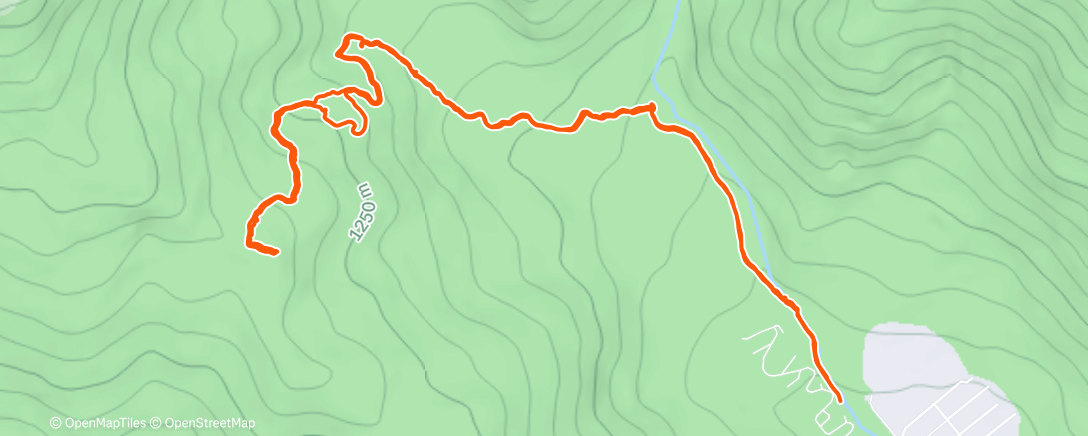 Карта физической активности (Трейлраннинг (после обеда))