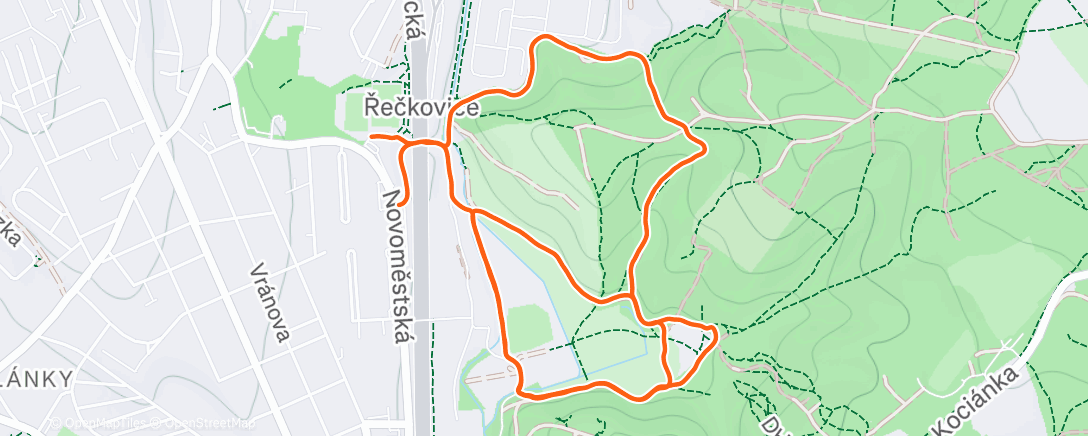 Карта физической активности (Morning Run)