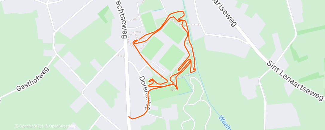 Карта физической активности (Lunch Ride)