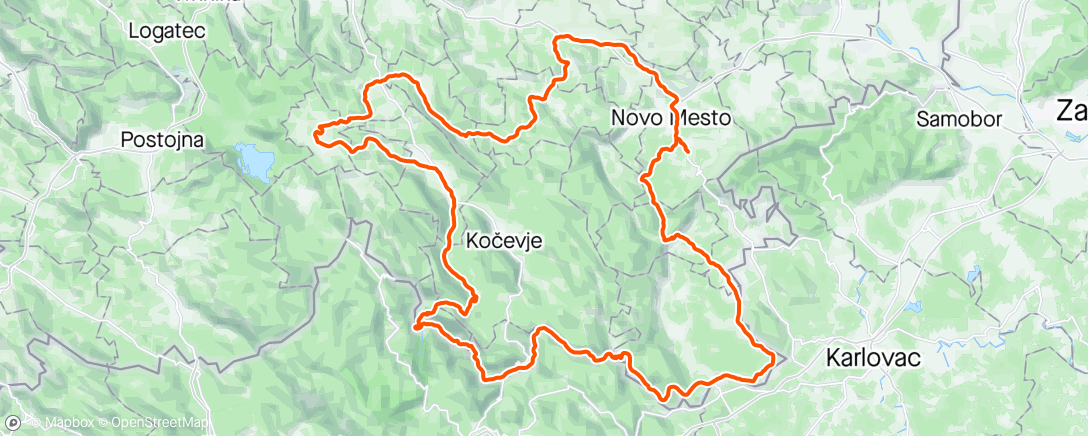 Map of the activity, 300 KM Brevet Novo Mesto
