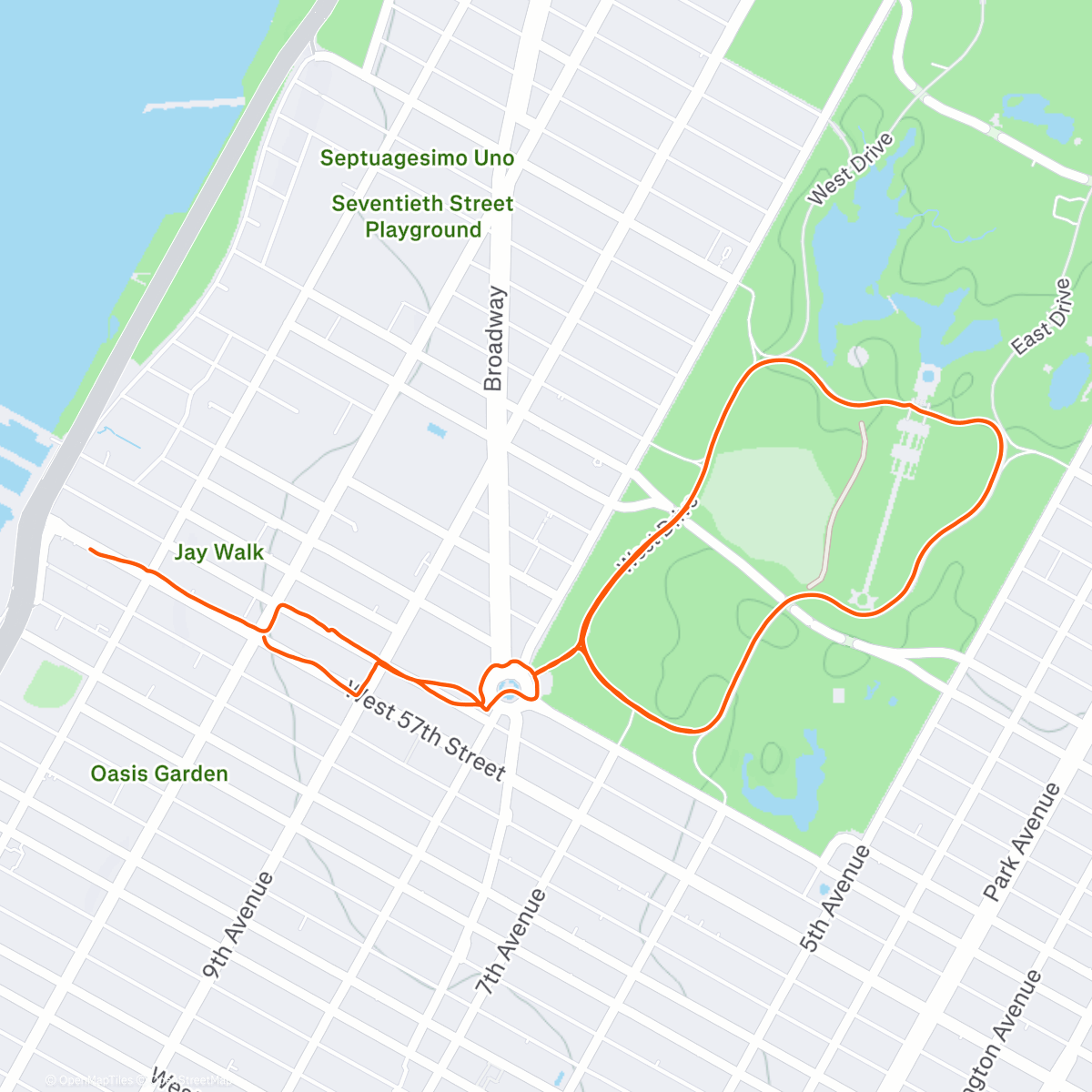 Карта физической активности (Morning Run)