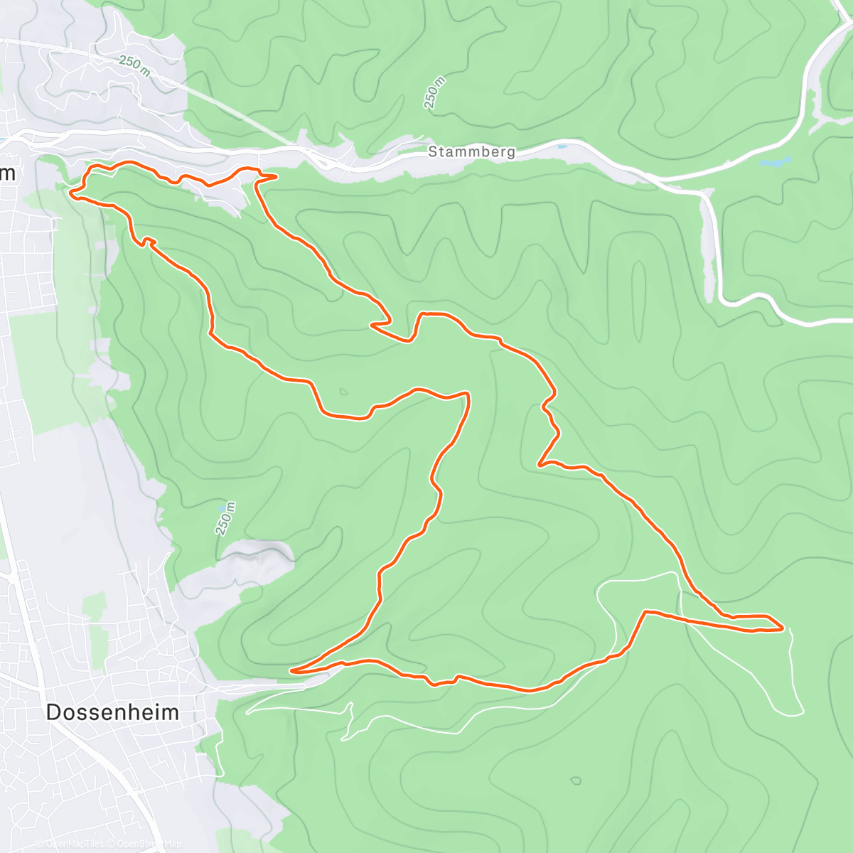 Карта физической активности (Schriesheim Berglauf)