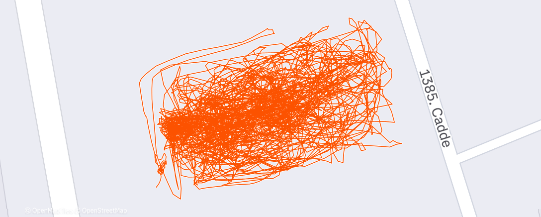 Map of the activity, Night Trail Run