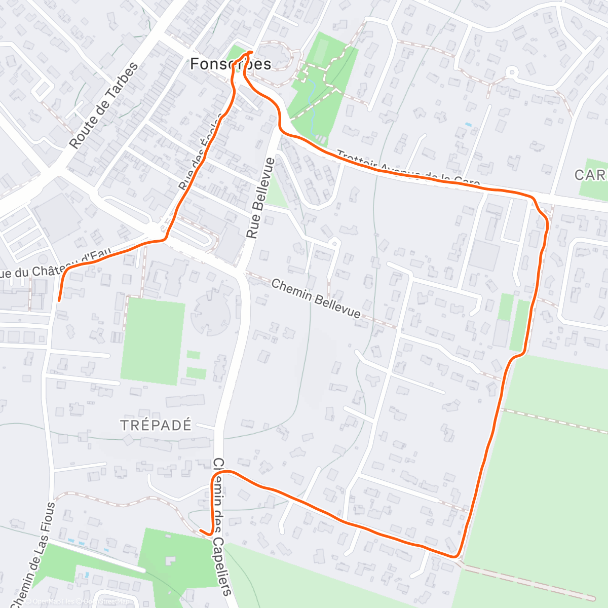 Карта физической активности (Digestion)