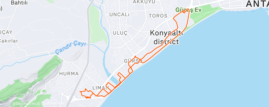 Map of the activity, AVM artı künefe