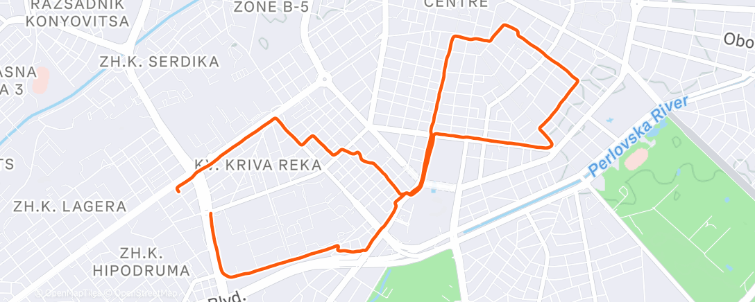 Карта физической активности (Afternoon Run)