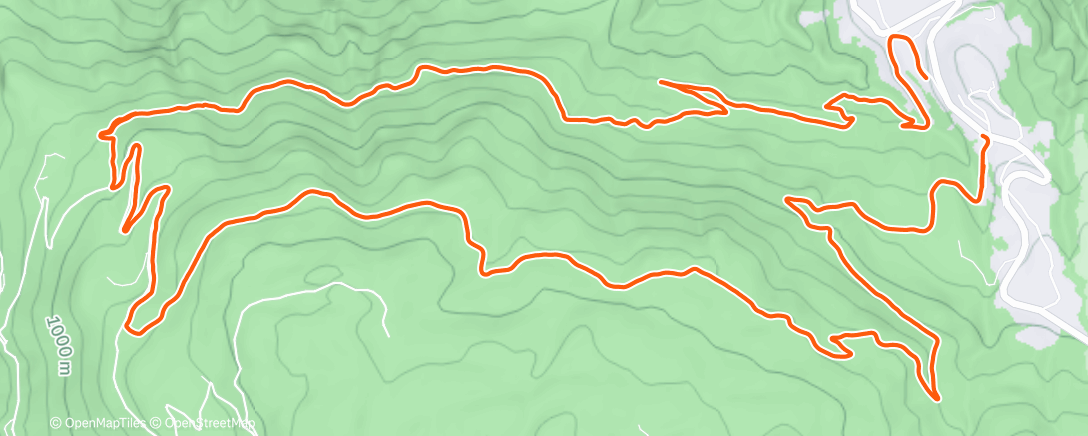 Карта физической активности (Training)