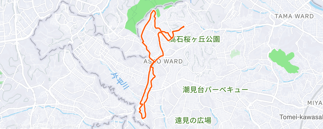 Map of the activity, 夜のランニング