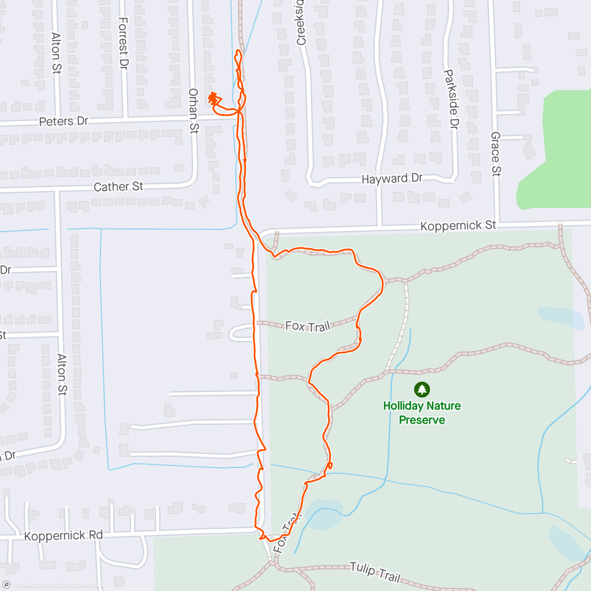 Map of the activity, Wolf Walk