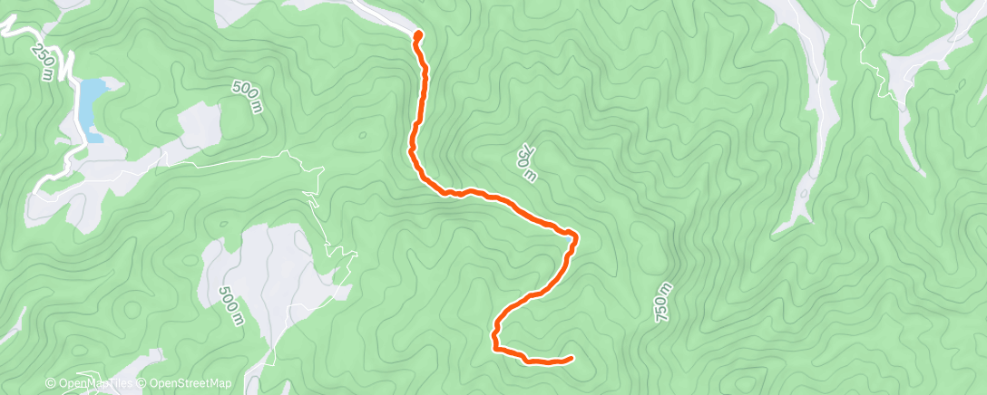 Map of the activity, Morning Trail Run