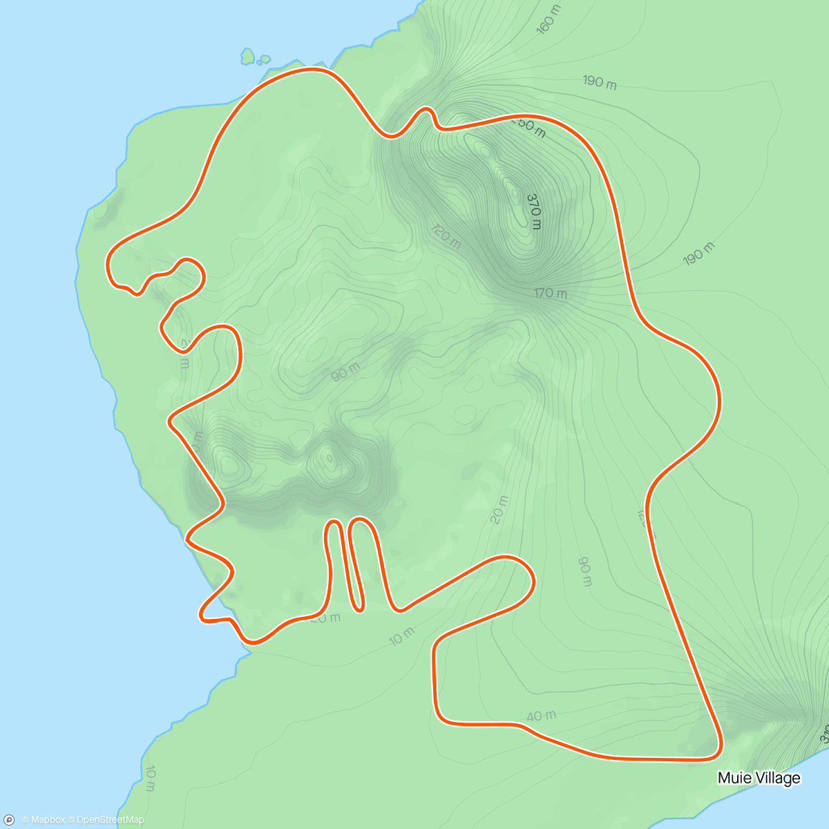 「Zwift - Flat Route in Watopia」活動的地圖