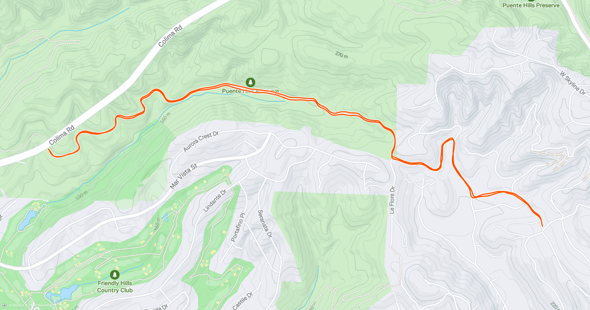 Morning Run | Strava