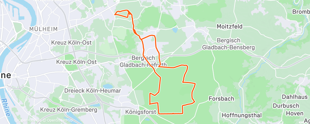 Map of the activity, Eine weitere kalte Runde durch den Forst