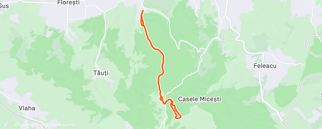 Карта физической активности (Morning Trail Run)