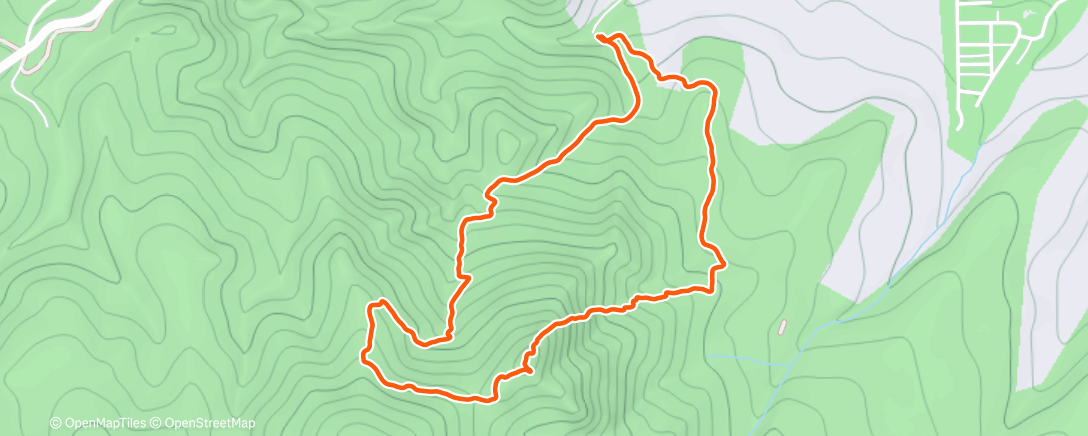 Карта физической активности (1st DEF from Gregory)