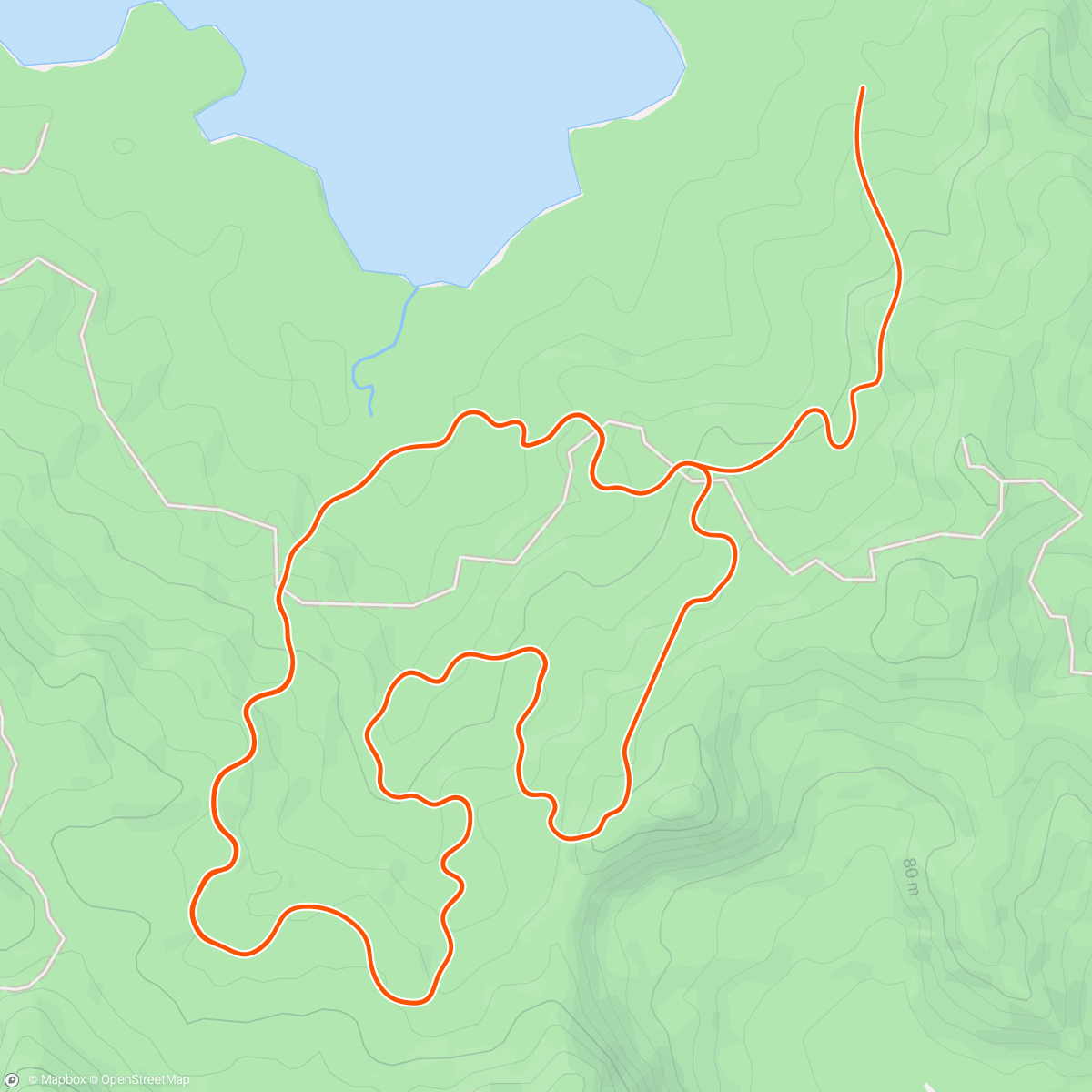 Map of the activity, Zwift - Group Ride: ZTPL Cycling Club Morning Endurance Ride  (C) on Jungle Circuit in Watopia