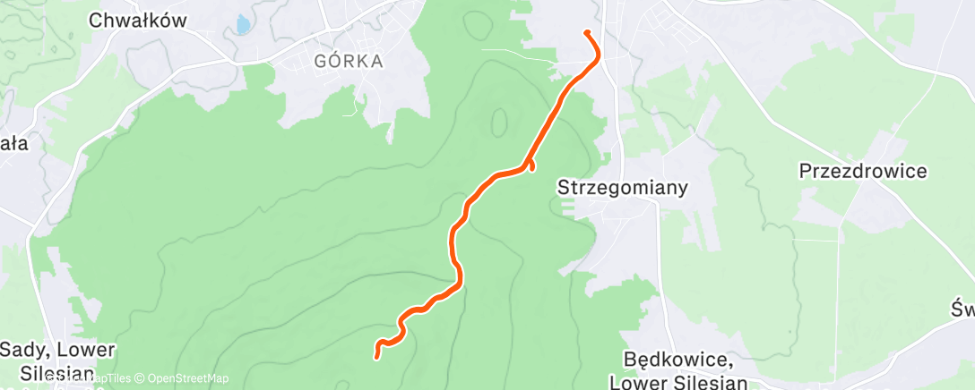 Map of the activity, 3 x 20’