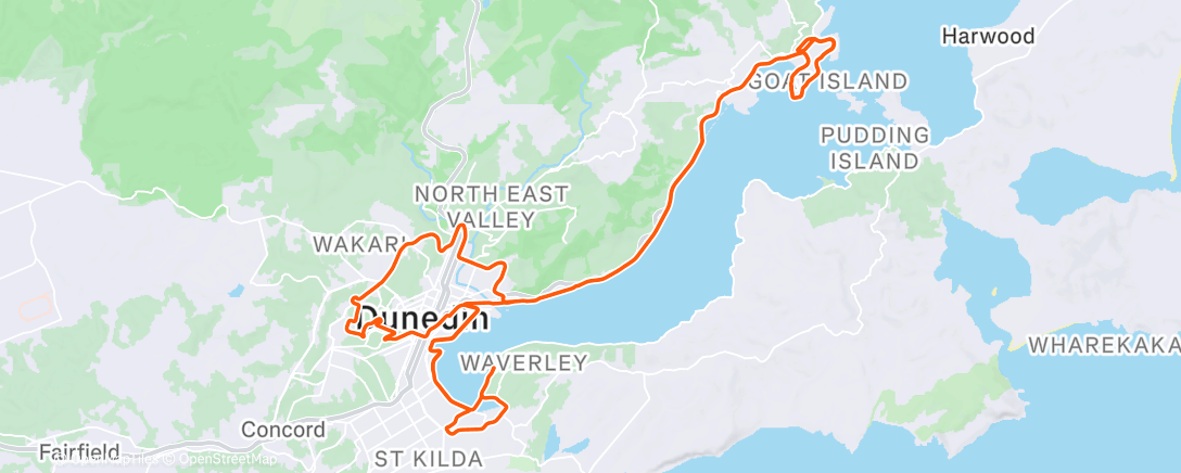 Карта физической активности (I dedicated the climb home to ‘ride title ideation’ but this is all I came up with)