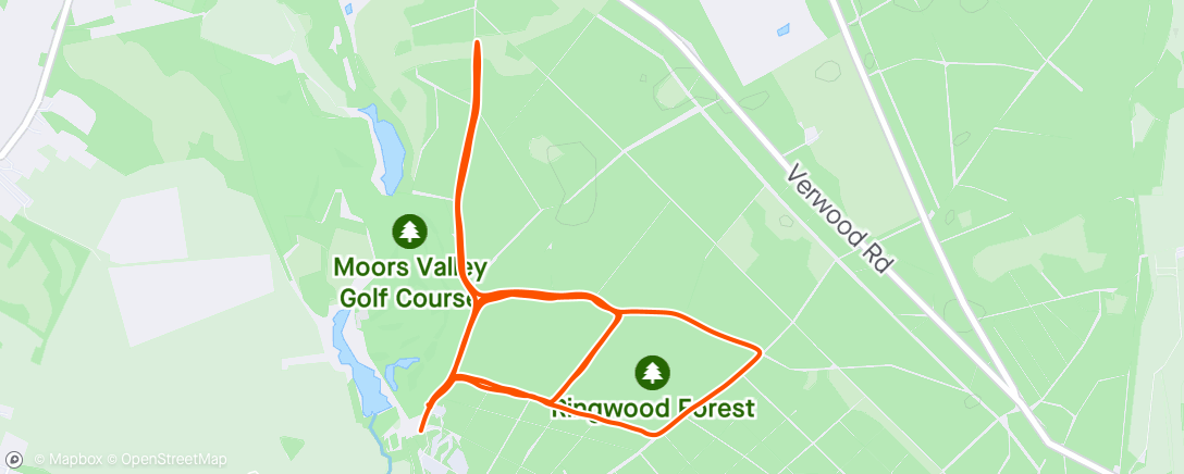 Mapa da atividade, Tempo run inc. Moors Valley parkrun 🌳