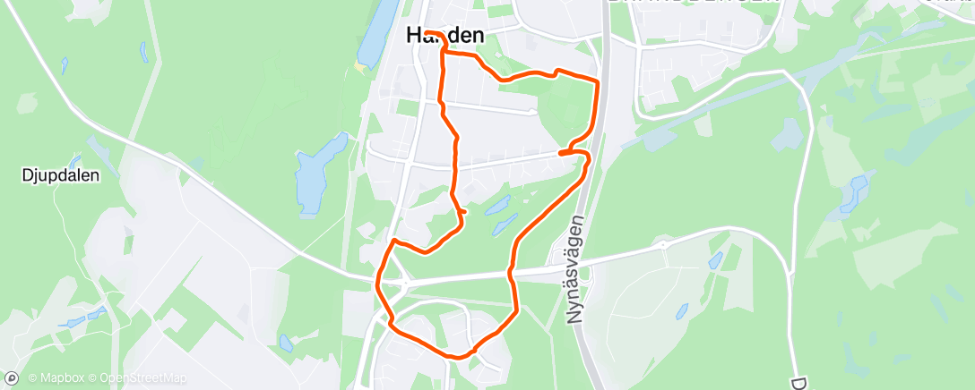 Map of the activity, Afternoon Walk 🦮🐾 🌧