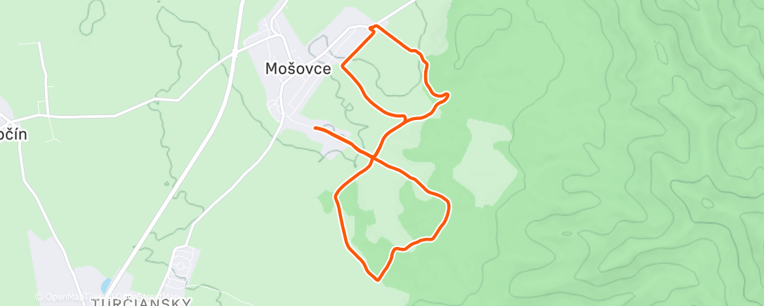 Карта физической активности (iron .run® LK)