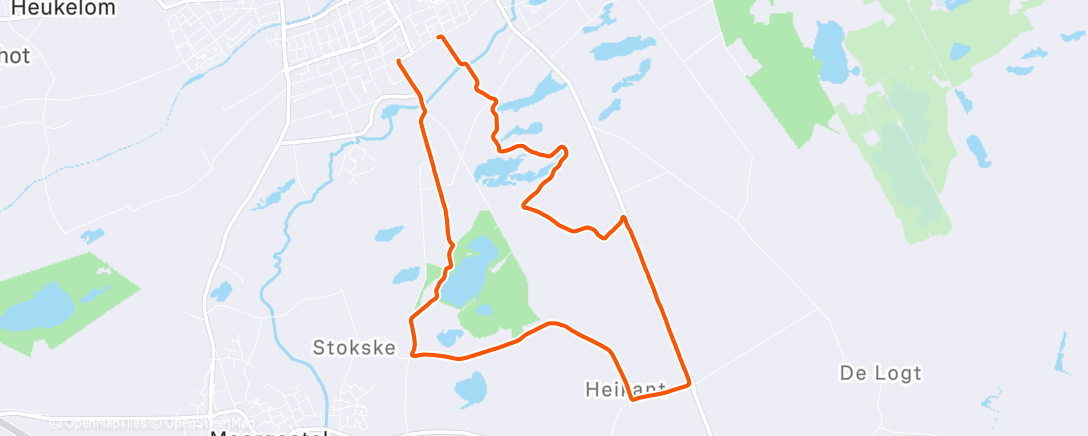 Map of the activity, Morning Run
