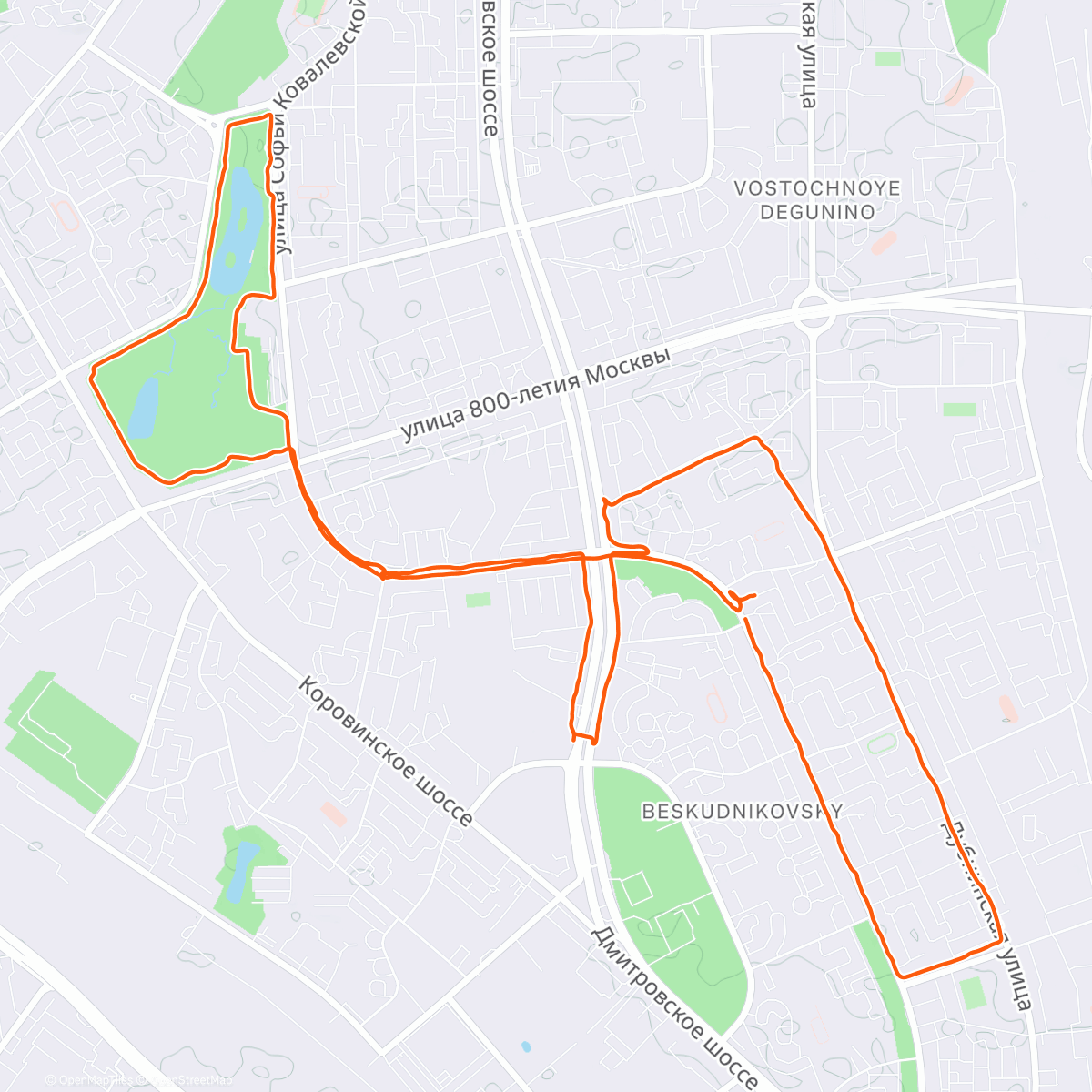 Карта физической активности (Evening Run)