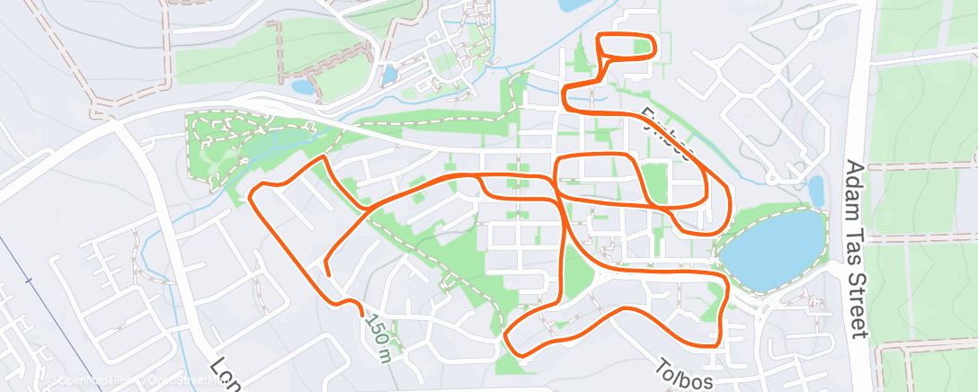 Map of the activity, Morning Run