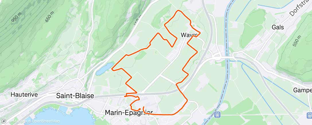 Map of the activity, Evening Run