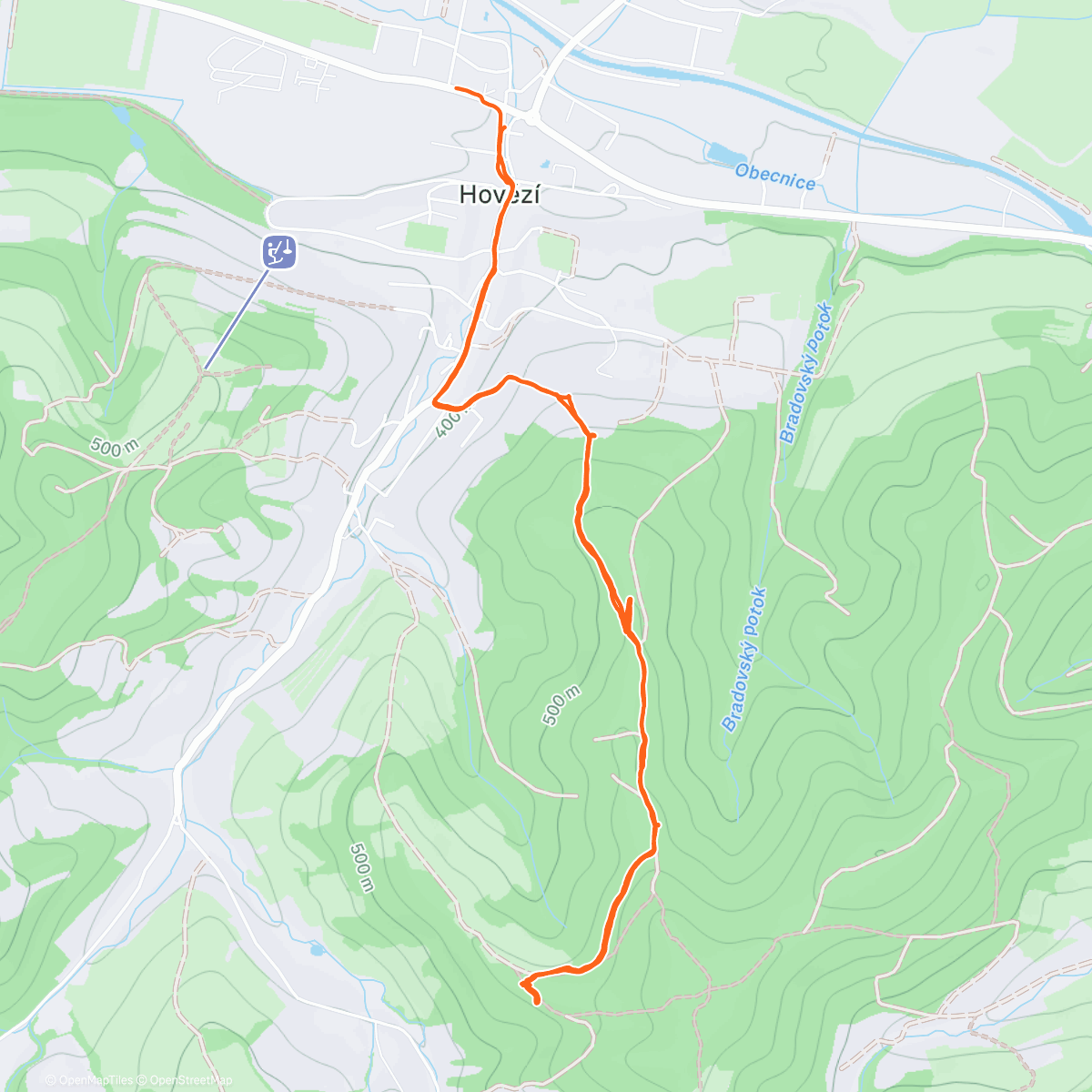 Карта физической активности (Afternoon Walk)