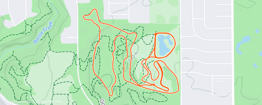 Карта физической активности (Famiski)