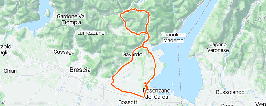 Map of the activity, #7 Treviso Bresciano