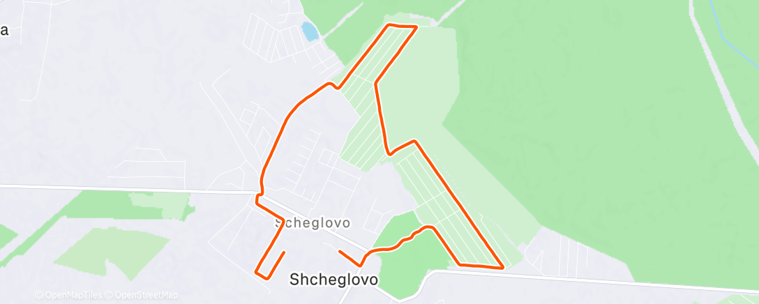 Карта физической активности (Morning Run)