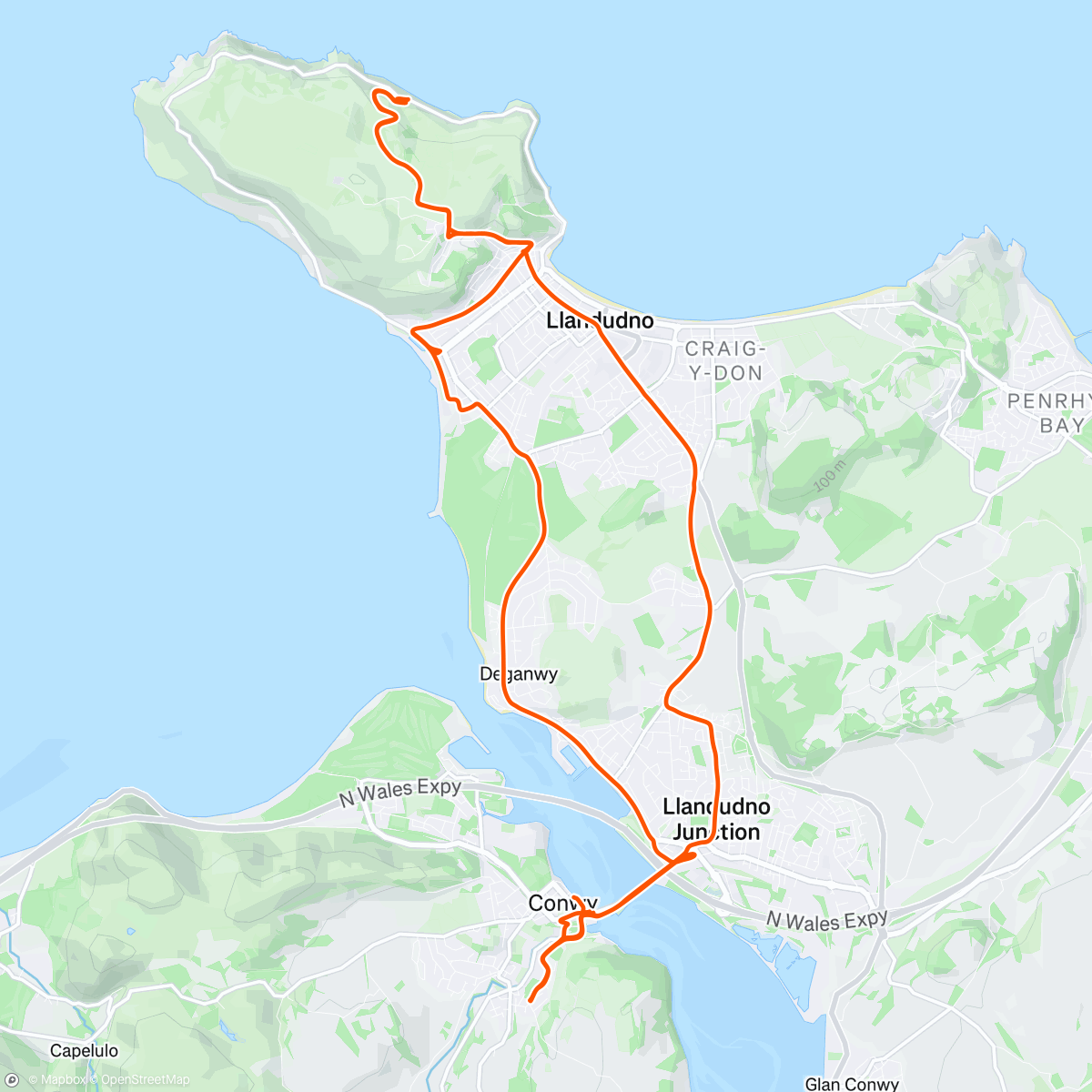 Map of the activity, Watching Millie on Conwy Half