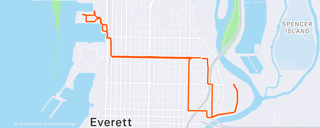 Карта физической активности (Morning Run)