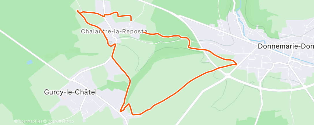 Карта физической активности (Marche dans l'après-midi avec mon animal de compagnie)