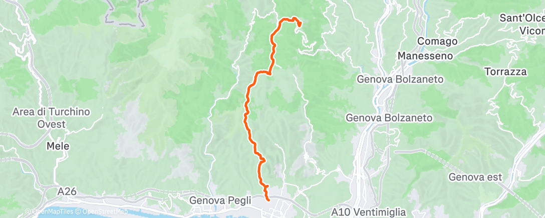 Карта физической активности (Camminata mattutina)