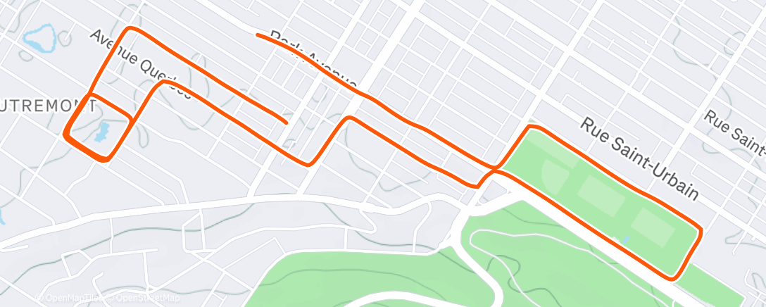 Карта физической активности (Morning Run)