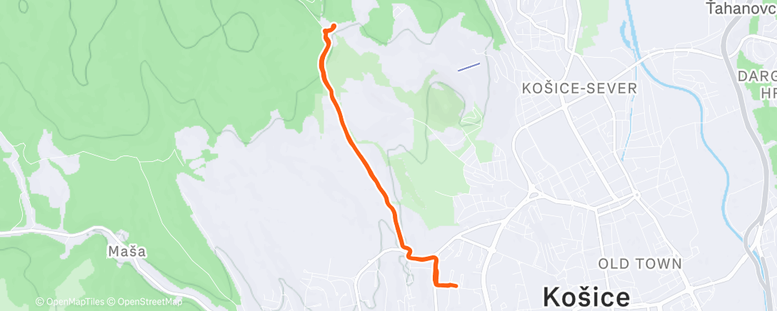 Карта физической активности (Morning Run)