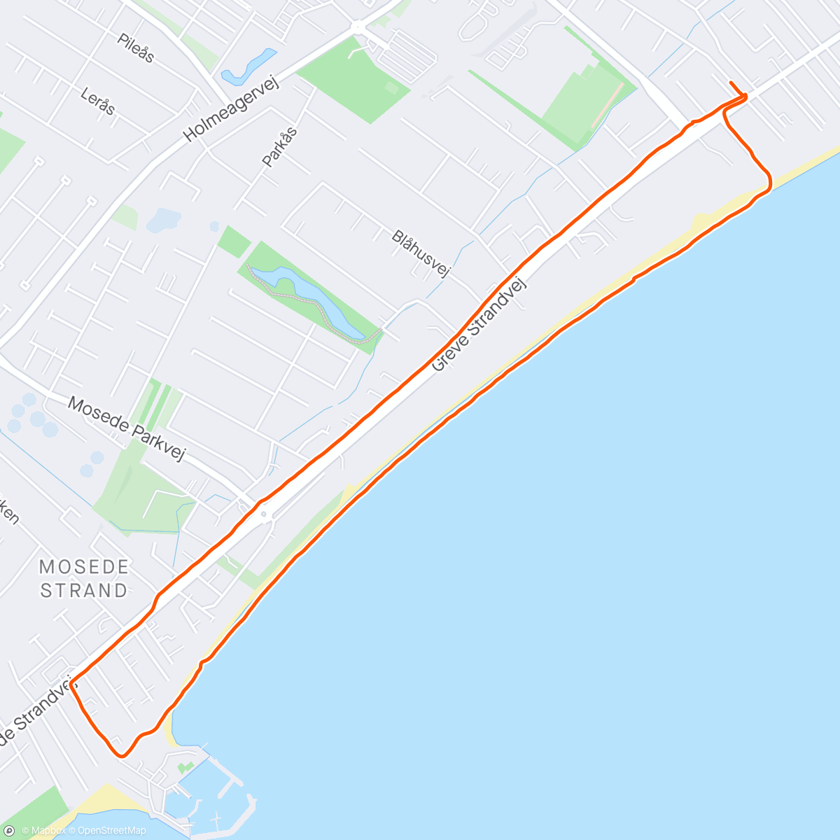 Карта физической активности (Evening Run)