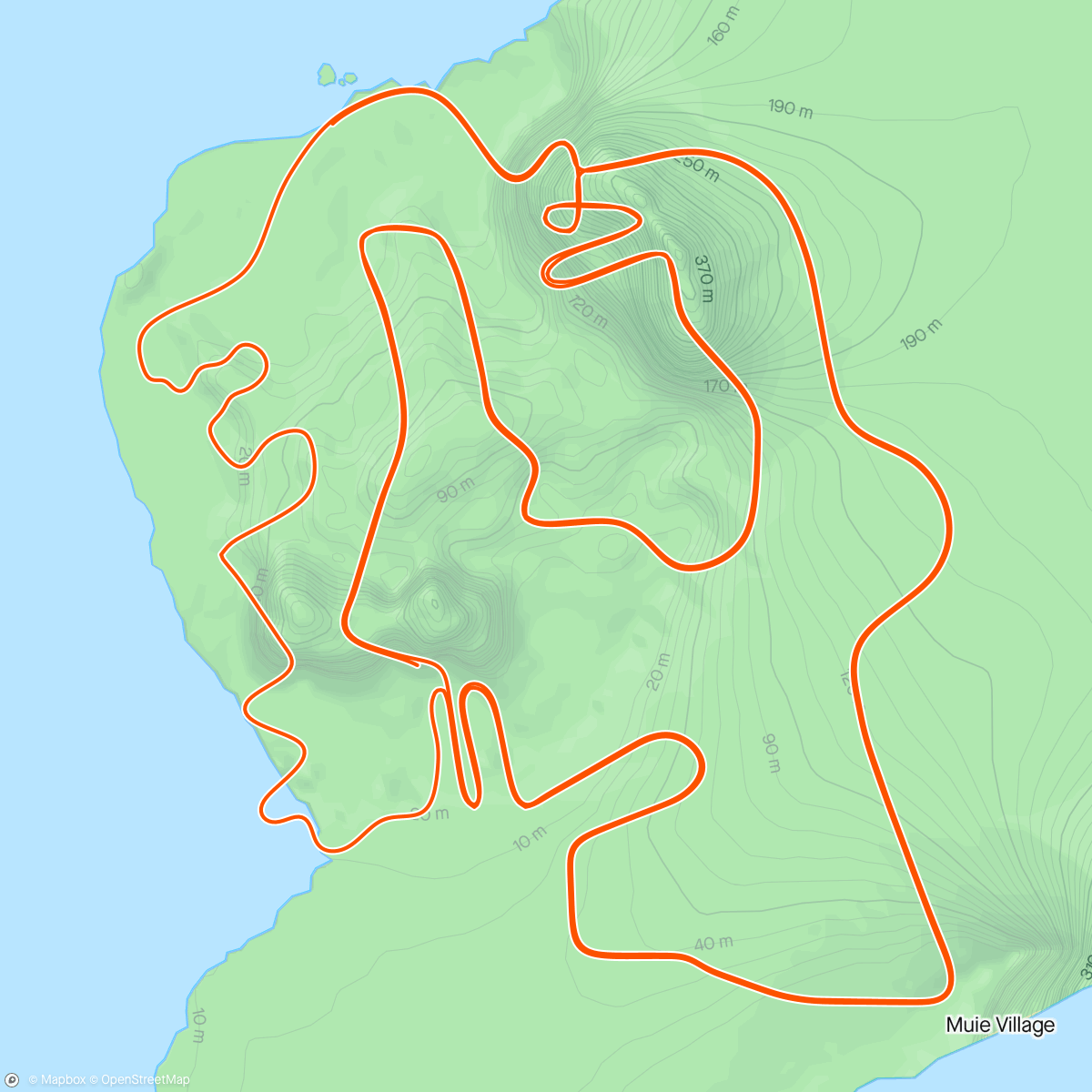 Map of the activity, Zwift - 60m - z1 - Recovery in Watopia