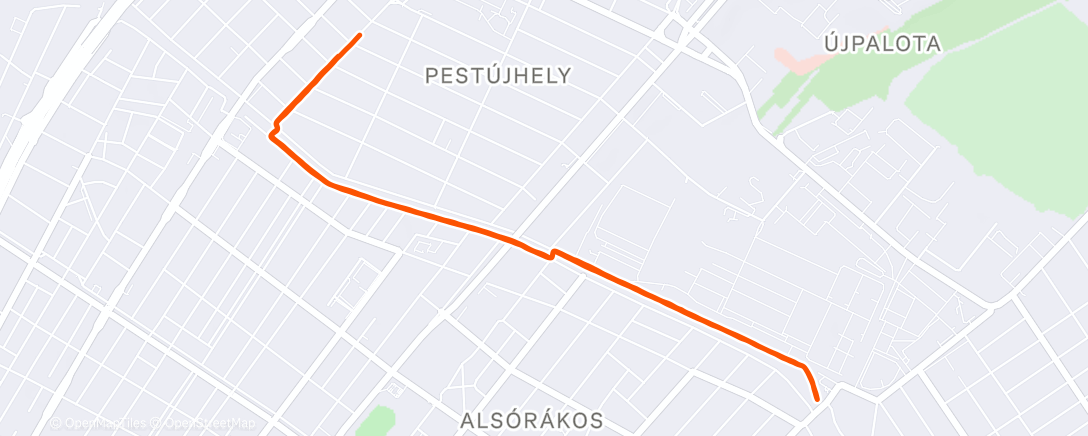 Карта физической активности (Morning Run)